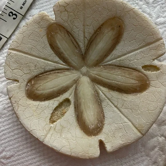 Sand Dollars  and shell Decor Set - Picture 7 of 11